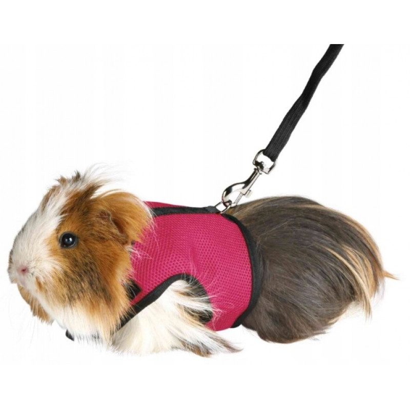 TRIXIE 61512 hám mellényes+póráz tengerimalac 18-25 cm/1,2 m