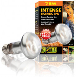 EXO-TERRA izzó 2136 Sun Glo tight beam 75 W  narancs (spot) Világítás Terrarisztika Exo-Terra