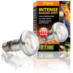 EXO-TERRA izzó 2136 Sun Glo tight beam 75 W  narancs (spot) Világítás Terrarisztika Exo-Terra