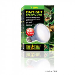 EXO-TERRA izzó 2132 Sun Glo Neodynum 75 W zöld (spot) Világítás Terrarisztika Exo-Terra