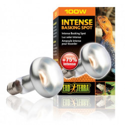 EXO-TERRA izzó 2140 Sun Glo tight beam 150 W narancs (spot) Világítás Terrarisztika Exo-Terra