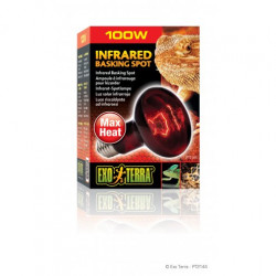 EXO-TERRA izzó 2144 Heat Glo 100 W piros Terrárium fűtő Terrarisztika Exo-Terra