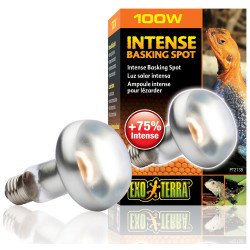 EXO-TERRA izzó 2138 Sun Glo tight beam 100 W narancs (spot) Világítás Terrarisztika Exo-Terra