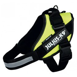 16IDC-FNE-B1 IDC® Powerhám, felirattal, Baby 1 UV neon zöld 3 XS 29-36 cm/0,8-3 kg Kutya kutya-macska JULIUS-K9