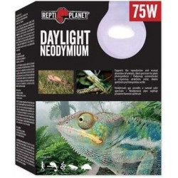 RP. Daylight Neodymium 41013 izzó 75 w természetes hatású fényt sugárzó Világítás Terrarisztika ReptiPlanet
