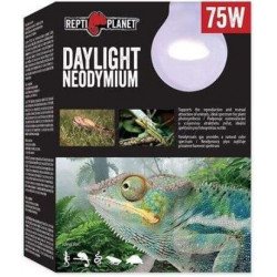 RP. Daylight Neodymium 41013 izzó 75 w természetes hatású fényt sugárzó Világítás Terrarisztika ReptiPlanet