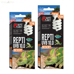 RP. Repti UVB izzó 10.0 13W Desert 41515 Világítás Terrarisztika ReptiPlanet