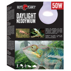 RP. Daylight Neodymium 41012 izzó 50 w természetes hatású fényt sugárzó Világítás Terrarisztika ReptiPlanet
