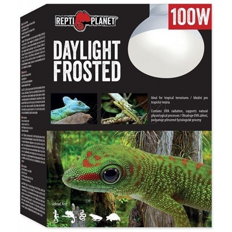 RP. Daylight Frosted 41024 izzó 100 w trópusi nappali hideg fényt sugárzó