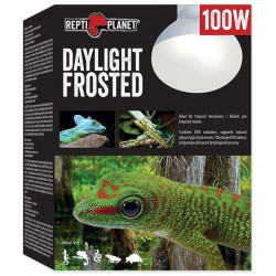 RP. Daylight Frosted 41024 izzó 100 w trópusi nappali hideg fényt sugárzó Világítás Terrarisztika ReptiPlanet