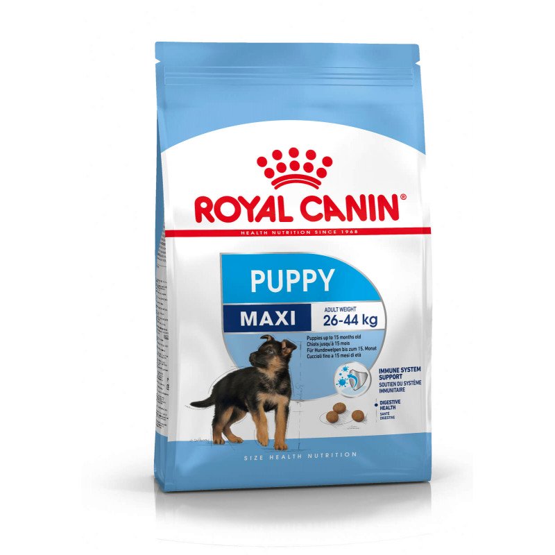 Royal Canin SHN Maxi puppy 1 kg (116800)