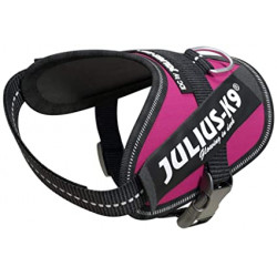 16IDC-DPN-B2 IDC® Powerhám, felirattal, Baby 2 sötét pink 2 XS 33-45 cm/2-5 kg Kutya kutya-macska Julius K-9