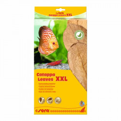 SERA Catappa levél XXL 10 db-os 30-35 cm 1000 l-hez Felszerelés Akvarisztika SERA