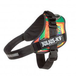 kt16IDC-REGGAE-2 IDC® Powerhám felirattal, méret 2 Reggae Canis XL 71-96 cm/28-40 kg Kutya kutya-macska JULIUS-K9