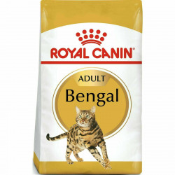 Royal Canin FBN Bengal adult 400 g (236580) Macskatáp, macskaeledel kutya-macska Royal Canin
