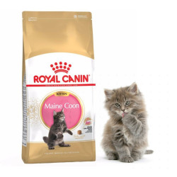 Royal Canin FBN Kitten Mainecoon 400 g (153200) Konzerv, nedves táp kutya-macska Royal Canin