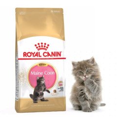 Royal Canin FBN Kitten Mainecoon 400 g (153200) Konzerv, nedves táp kutya-macska Royal Canin