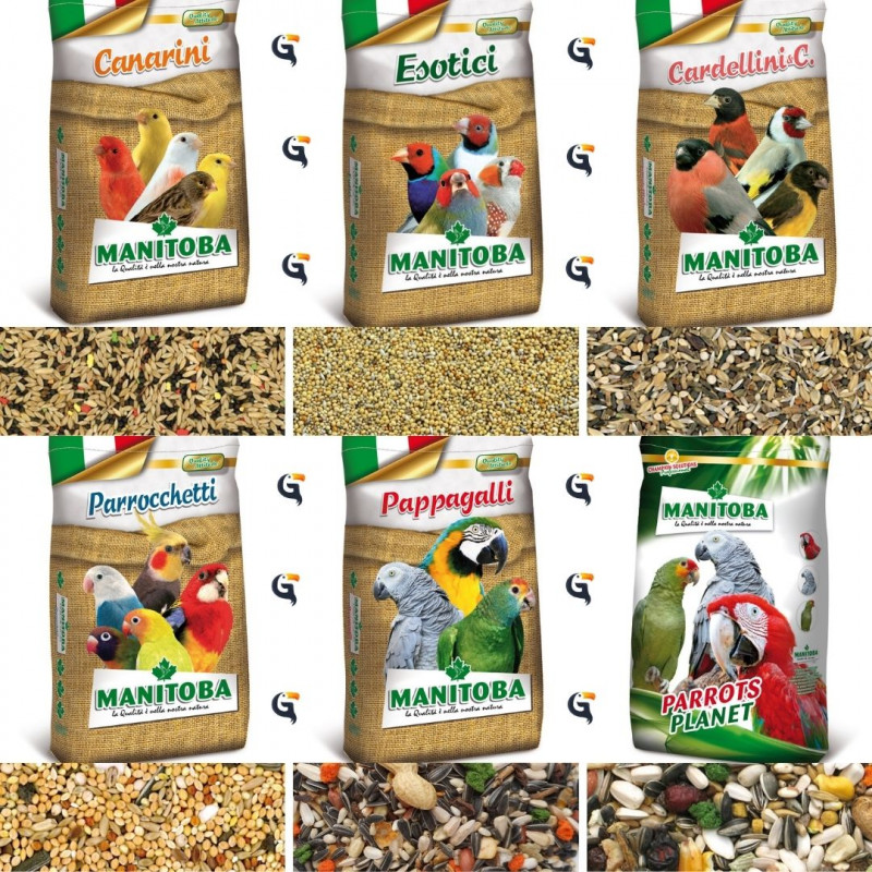 WINNER-FOOD Mag csomagolt kanári 600 ml/400 g
