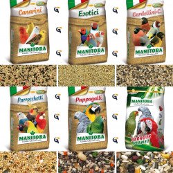 WINNER-FOOD Mag csomagolt pinty 600 ml/400 g Főeleség Madár WINNER-FOOD