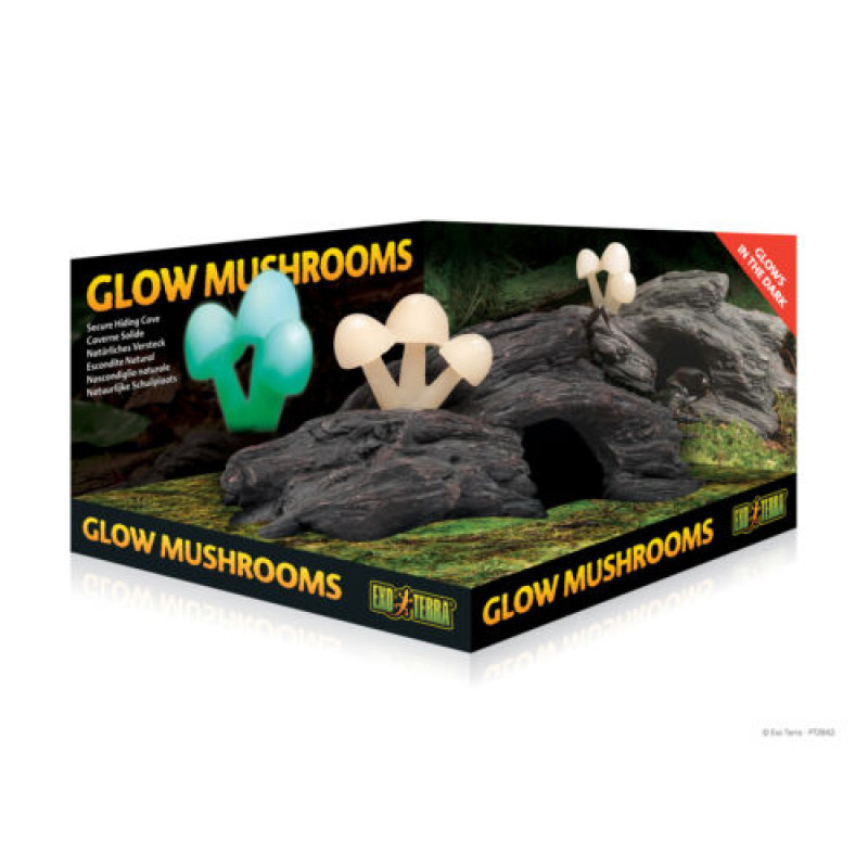 EXO-TERRA 2843 fatörzs fluoreszkáló gombával