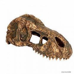 EXO-TERRA 2860 dekor T-rex koponya kicsi Berendezés, dekor Terrarisztika Exo-Terra