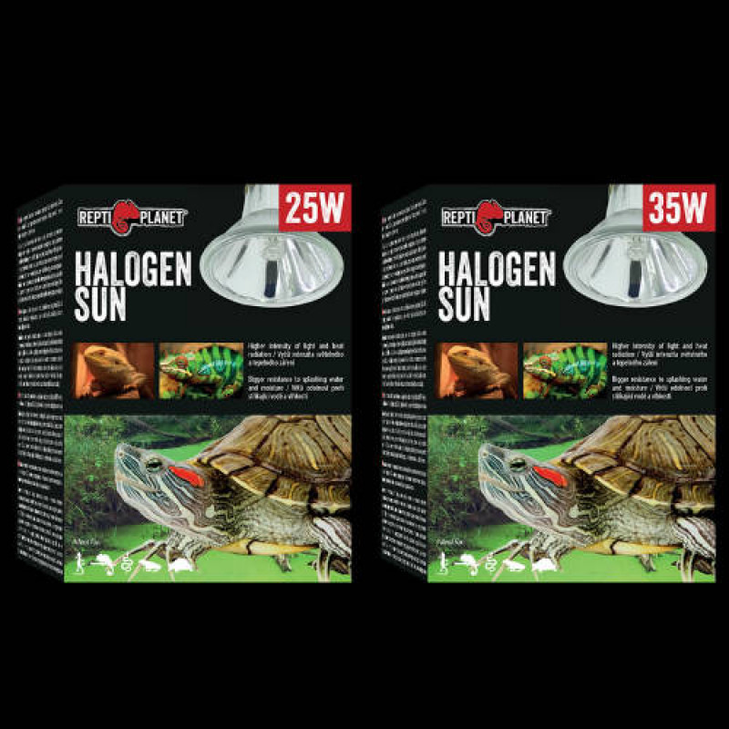 RP. Halogen Sun 41231 izzó 25 w intenzív fényt sugárzó