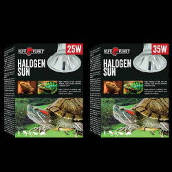RP. Halogen Sun 41231 izzó 25 w intenzív fényt sugárzó Világítás Terrarisztika ReptiPlanet