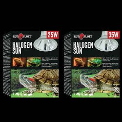 RP. Halogen Sun 41231 izzó 25 w intenzív fényt sugárzó Világítás Terrarisztika ReptiPlanet