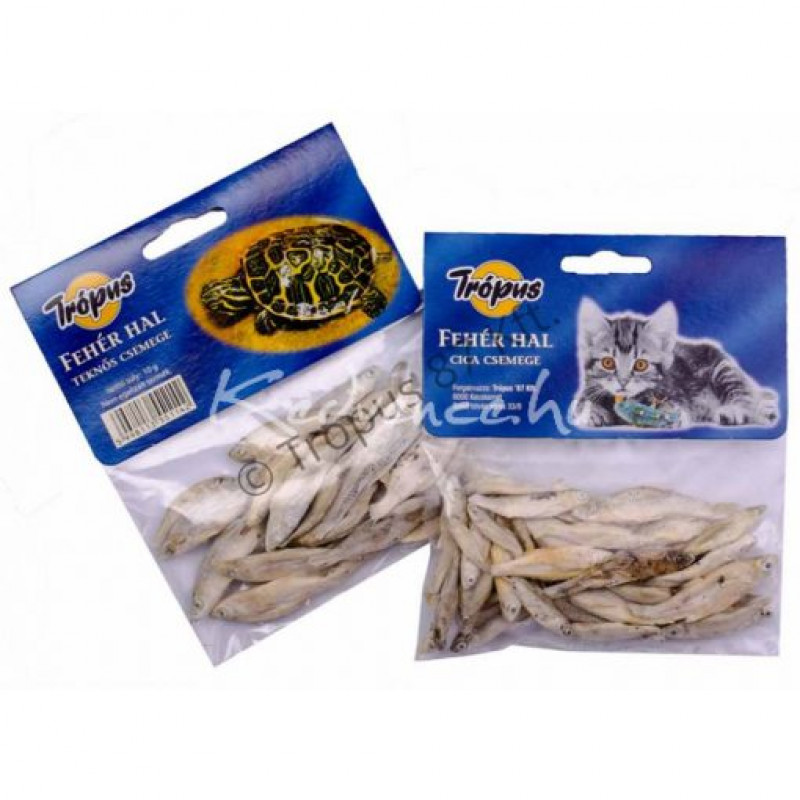 TRÓPUS fehér hal 10 g (10-vel rendelhető) 651009