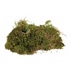 TRIXIE 76155 moha 200 g élő Talajok, aljzatok Terrarisztika TRIXIE