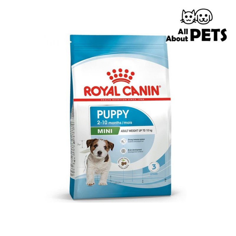 Royal Canin SHN Mini puppy 8 kg (172680)