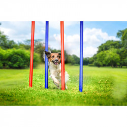 Kutya akadály (szlalom) 7db-o szett táskával Pet Toys  474342 (XEH25247434) Kutya kutya-macska