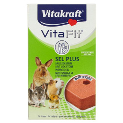 Vitakraft Sel Plus 40 g (nyalósó rágcsálóknak) 105264 Egyéb Rágcsáló Vitakraft