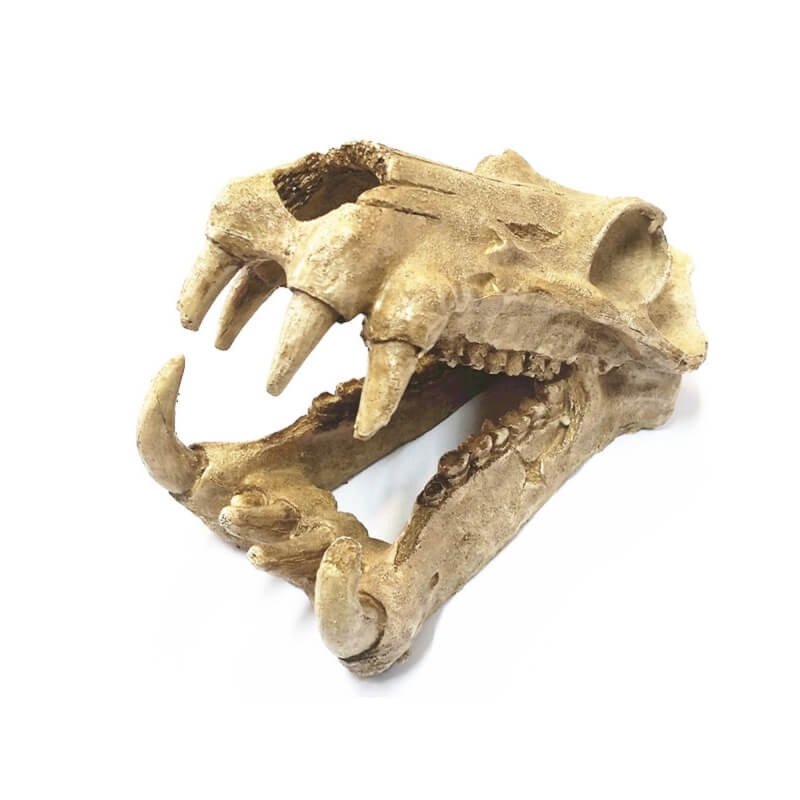 BPS 6620 Dekoráció dinó koponya 20x11x13 cm