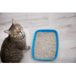 Benti macska alom 10 kg bentonit és zeolit alapú Macskaalom kutya-macska