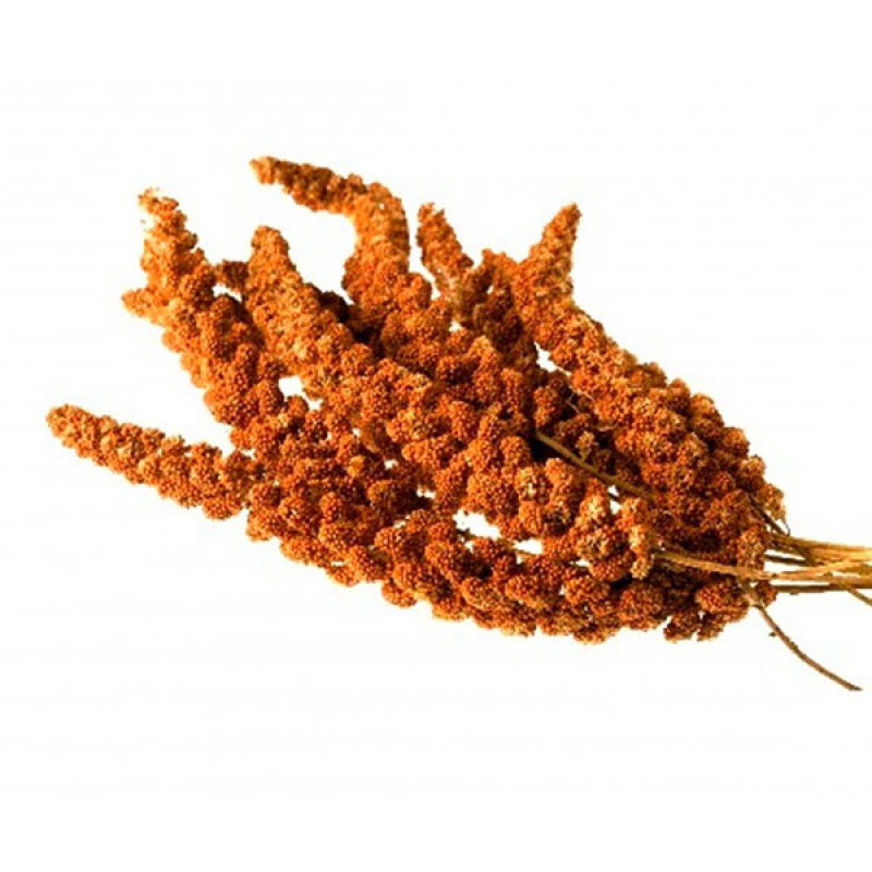 TRÓPUS fürtös vörös köles 60 g 641046