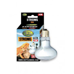 Reptile Nova Strong UVA terrárium izzó - 75W E27 sivatagi hüllőknek Világítás Terrarisztika Reptile Nova