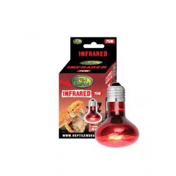 Reptile Nova Infravörös terrárium izzó - 75W E27 Világítás Terrarisztika Reptile Nova