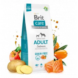 Brit Care Grain-Free/gabonamentes ADULT 12 kg Salmon&Potato 172198 Kutya Kutyáknak Brit