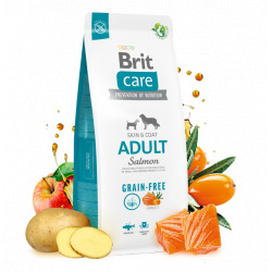 Brit Care Grain-Free/gabonamentes ADULT 3 kg Salmon&Potato 172197 Kutya Kutyáknak Brit