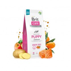 Brit Care Grain-Free/gabonamentes PUPPY 3 kg Salmon&Potato 172194 Kutya Kutyáknak Brit